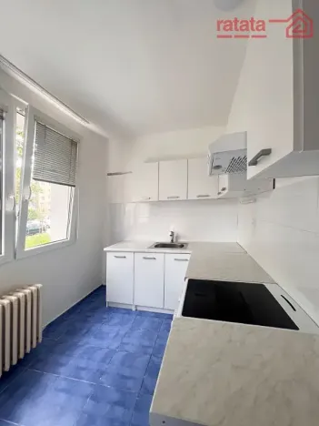 Pronájem bytu 2+1, Chomutov, Dřínovská, 59 m2