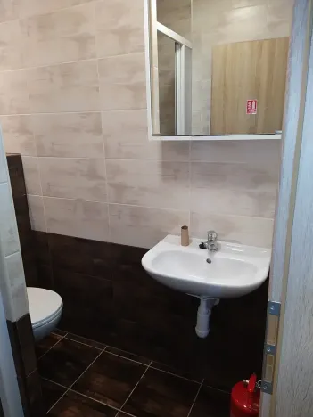 Pronájem bytu 1+kk, Brno, Markéty Kuncové, 30 m2