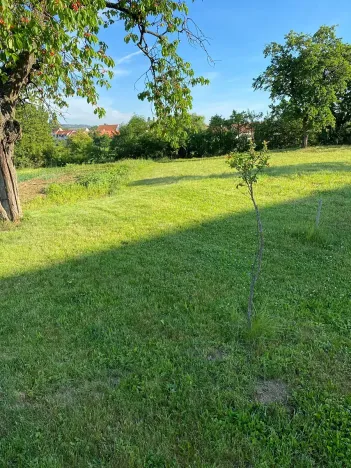 Prodej zahrady, Babice, 1000 m2