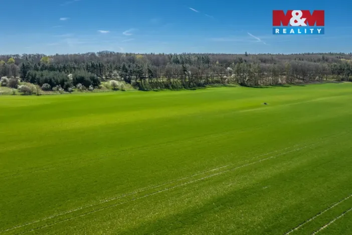 Prodej pole, Benátky nad Jizerou - Benátky nad Jizerou II, 8786 m2