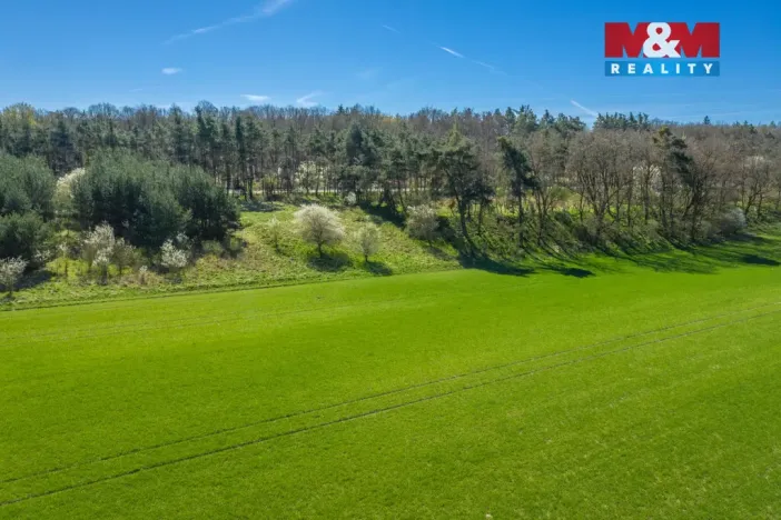 Prodej pole, Benátky nad Jizerou - Benátky nad Jizerou II, 8786 m2