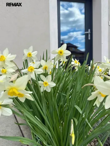 Prodej rodinného domu, Spáňov, 100 m2