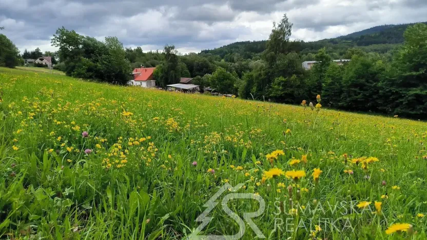 Prodej pozemku, Sušice - Záluží, 2272 m2