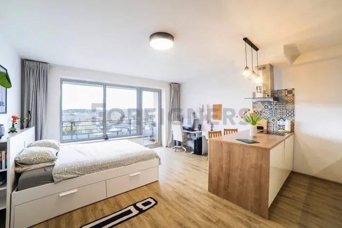 Prodej bytu 1+kk, Olomouc, Loudova, 36 m2