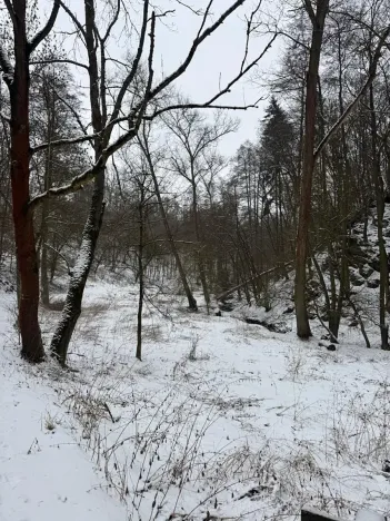 Prodej lesa, Chotiměř, 26763 m2