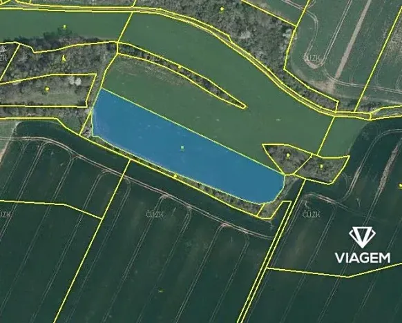 Prodej pole, Vysoká, 7413 m2