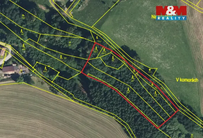 Prodej lesa, Košťálov - Kundratice, 4244 m2