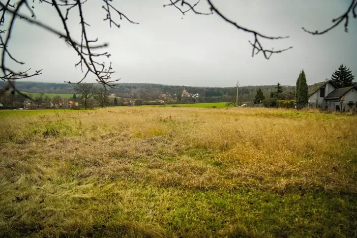 Prodej pozemku pro bydlení, Petrovice, 6626 m2