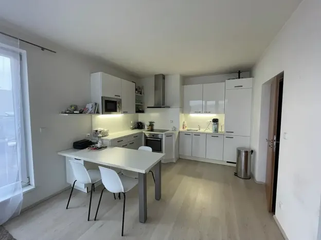 Pronájem bytu 2+kk, Brno, Vídeňská, 45 m2