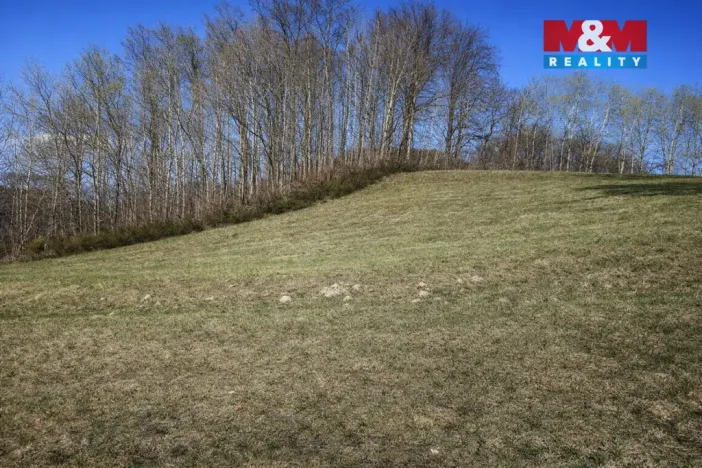 Prodej louky, Janův Důl, 2749 m2