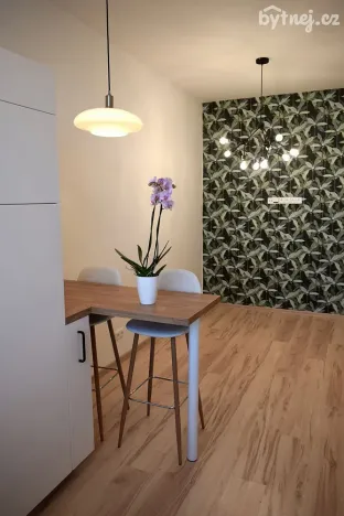 Pronájem bytu 2+kk, Jihlava, Třebízského, 42 m2