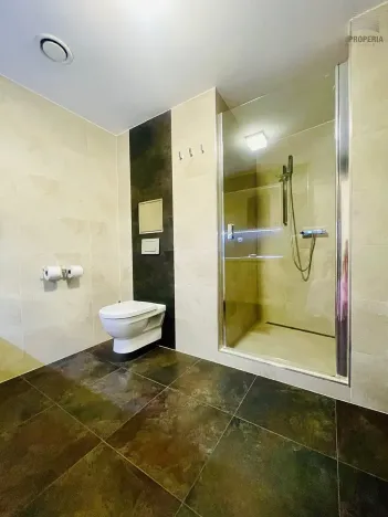 Pronájem bytu 1+kk, Brno, Cihlářská, 38 m2