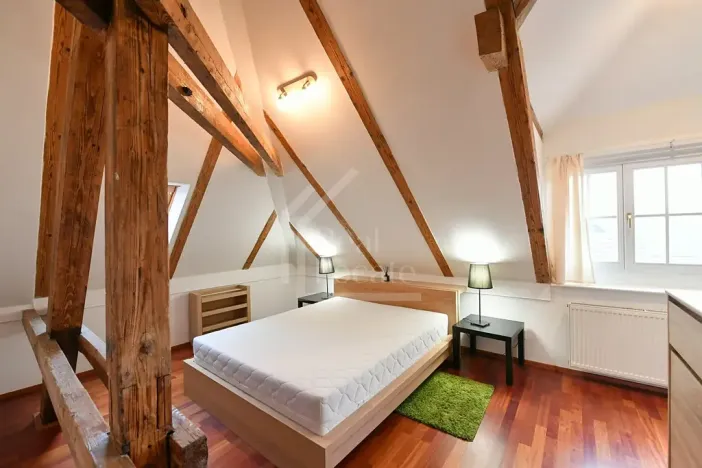 Pronájem bytu 2+kk, Praha - Vinohrady, Hradešínská, 114 m2