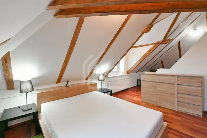 Pronájem bytu 2+kk, Praha - Vinohrady, Hradešínská, 114 m2