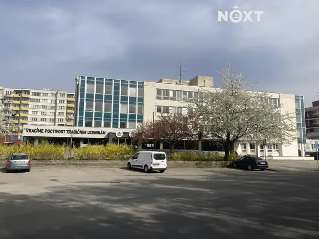 Pronájem obchodního prostoru, Tábor, Světlogorská, 163 m2