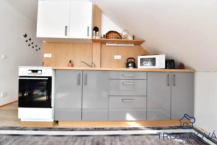 Prodej činžovního domu, Petroupim, 306 m2