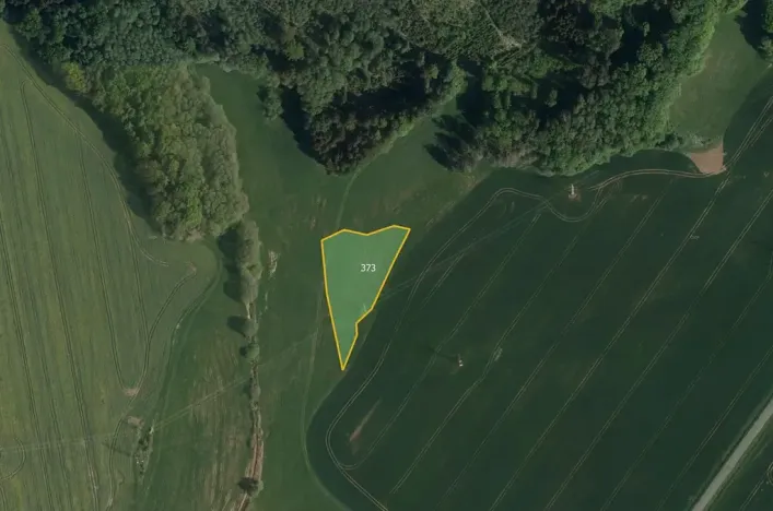 Prodej pole, Třemošnice, 41424 m2