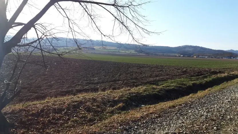 Prodej pozemku pro bydlení, Libina, 12500 m2