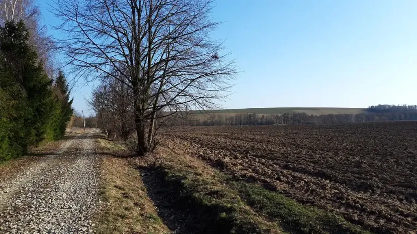 Prodej pozemku pro bydlení, Libina, 12500 m2