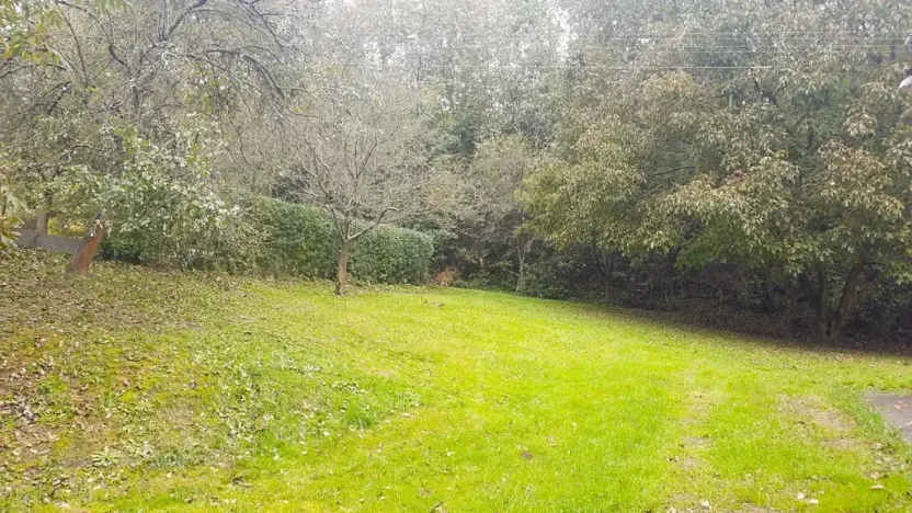 Prodej zahrady, Libina, 239 m2