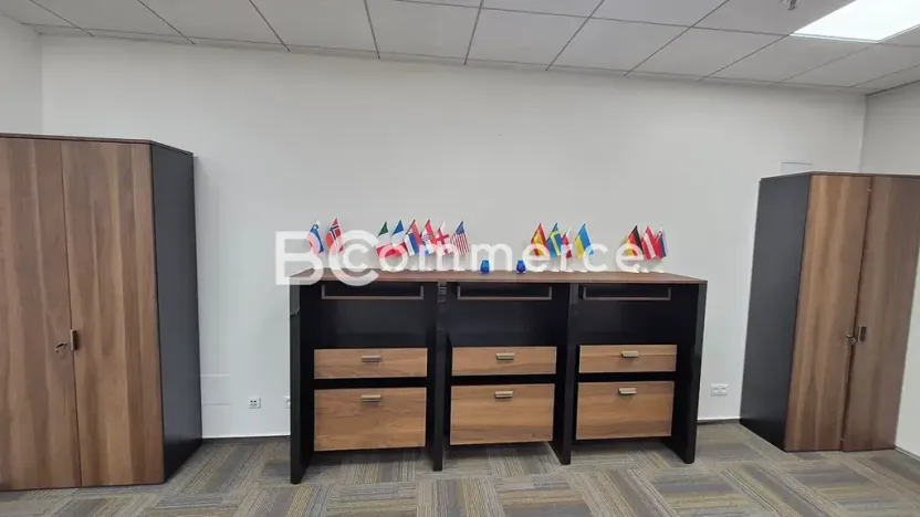 Pronájem kanceláře, Brno, Holandská, 240 m2