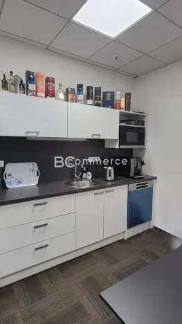 Pronájem kanceláře, Brno, Holandská, 240 m2