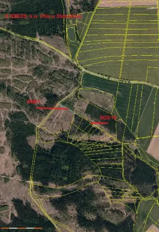 Prodej lesa, Otín, 928 m2