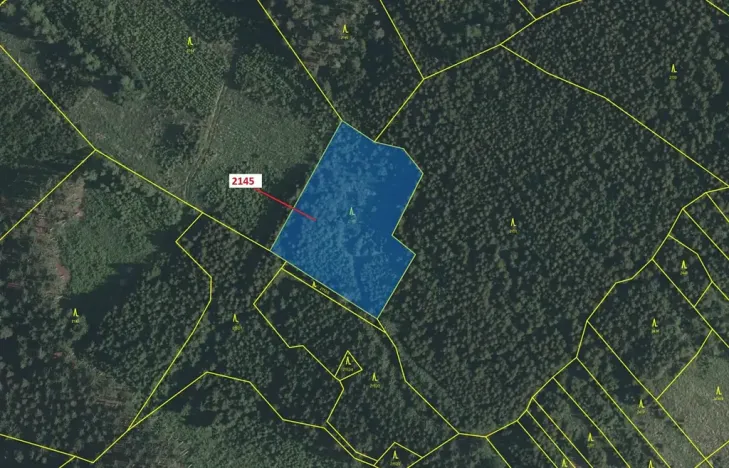 Dražba lesa, Strmilov, 5413 m2