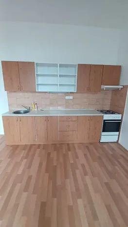 Pronájem bytu 2+kk, Plzeň, Koperníkova, 56 m2