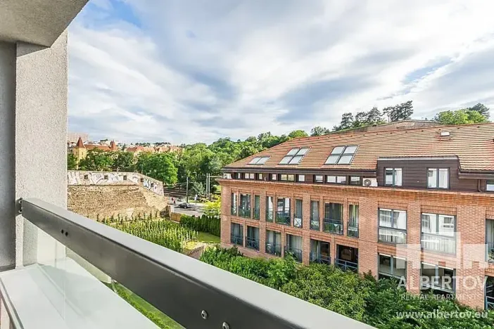 Pronájem bytu 1+kk, Praha - Nusle, Sekaninova, 33 m2