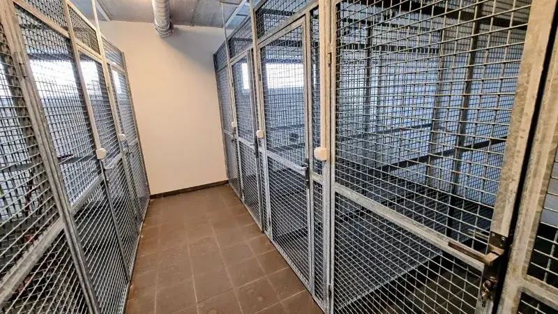 Pronájem bytu 2+kk, Jihlava, Okružní, 67 m2