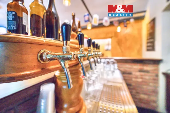 Pronájem restaurace, Plzeň - Jižní Předměstí, Americká, 102 m2