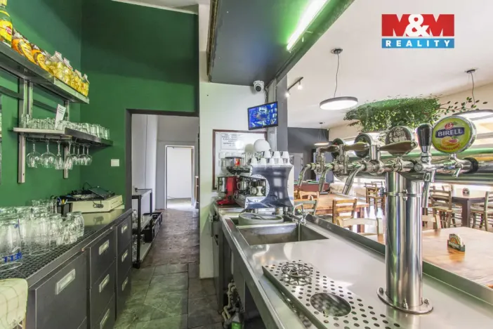 Prodej restaurace, Slezské Rudoltice, 360 m2