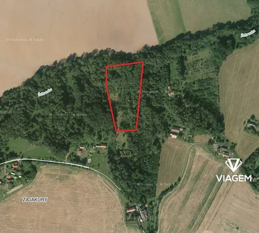 Prodej podílu lesa, Sobotka, 2241 m2