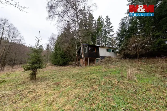 Prodej chaty, Bory - Dolní Bory, 49 m2