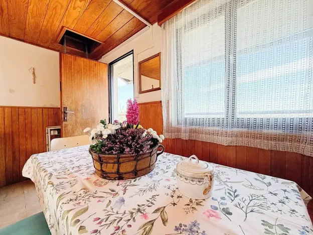 Prodej chaty, Vysoké Mýto, Vinice, 17 m2