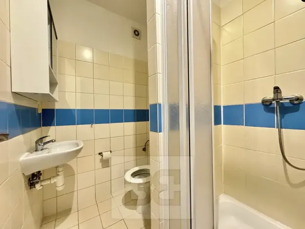 Pronájem bytu 1+kk, Brno, Cejl, 22 m2