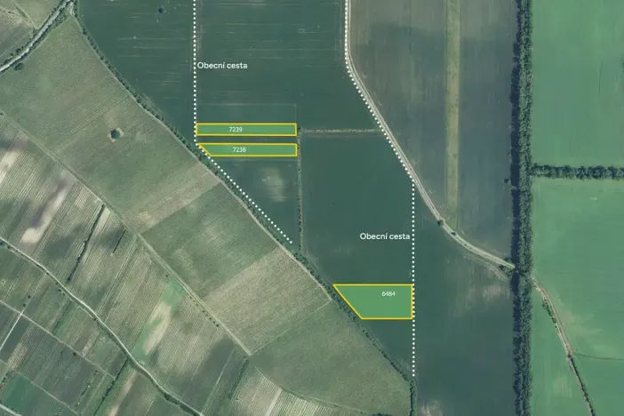 Prodej pole, Dolní Dunajovice, 34740 m2