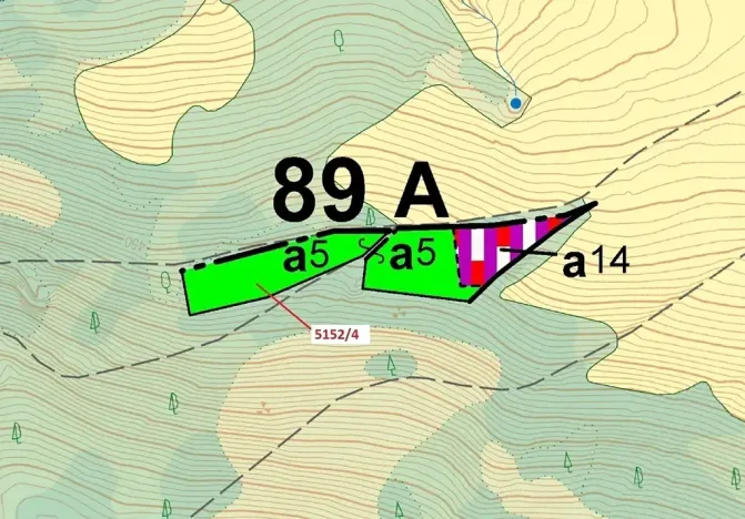 Dražba lesa, Mikulášovice, 3638 m2