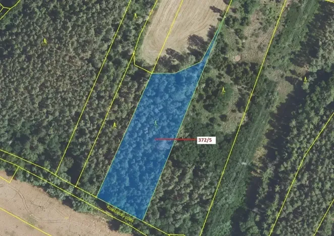 Dražba lesa, Přílepy, 7060 m2