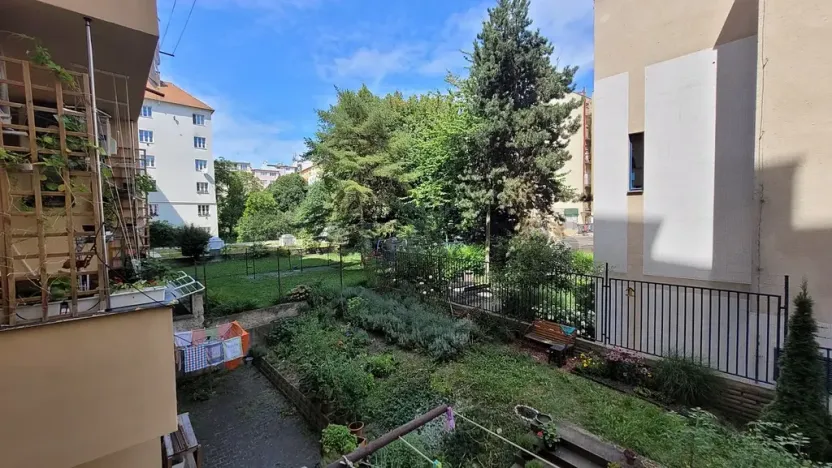 Pronájem bytu 2+kk, Brno, Botanická, 56 m2