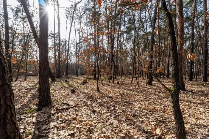 Prodej pozemku pro bydlení, Hradištko, Kersko, 4428 m2