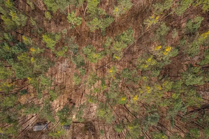 Prodej pozemku pro bydlení, Hradištko, Kersko, 4428 m2