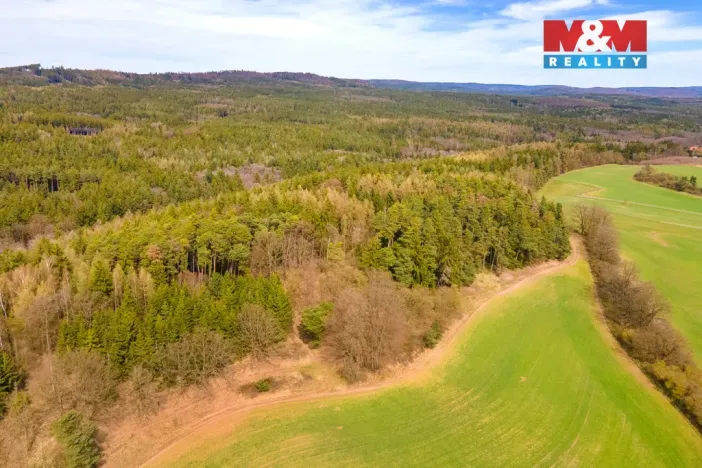 Prodej pole, Buková u Příbramě, 21867 m2