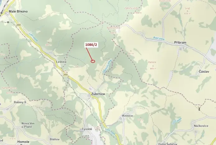 Dražba lesa, Zubrnice, 26 m2