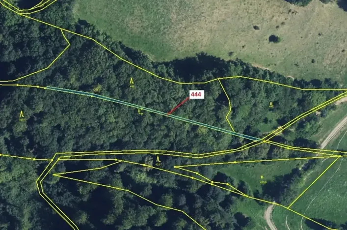 Dražba lesa, Městečko Trnávka, 302 m2