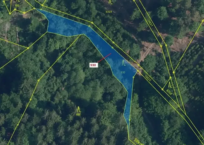 Dražba lesa, Jílové u Držkova, 967 m2