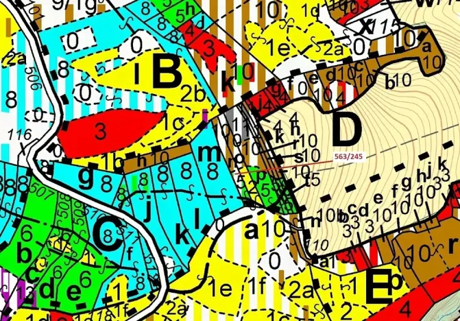 Dražba lesa, Spešov, 1009 m2