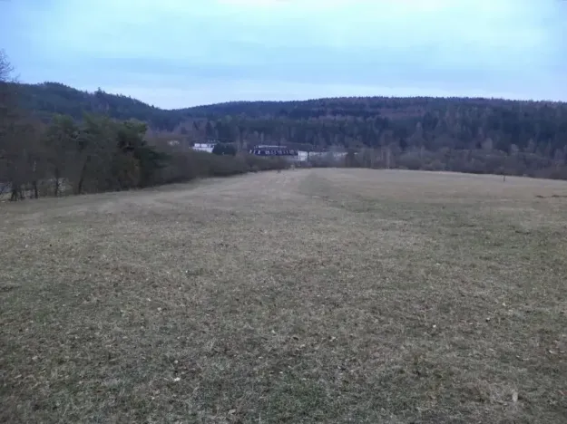 Dražba pole, Tis u Blatna, 6625 m2