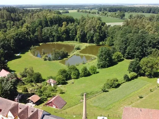 Dražba louky, Pluhův Žďár, 1974 m2